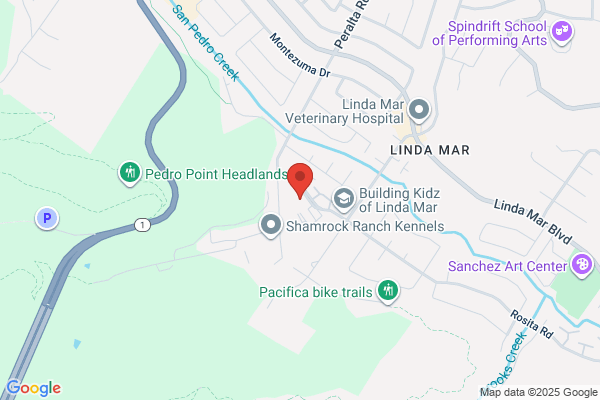 Spectrum Center Peninsula