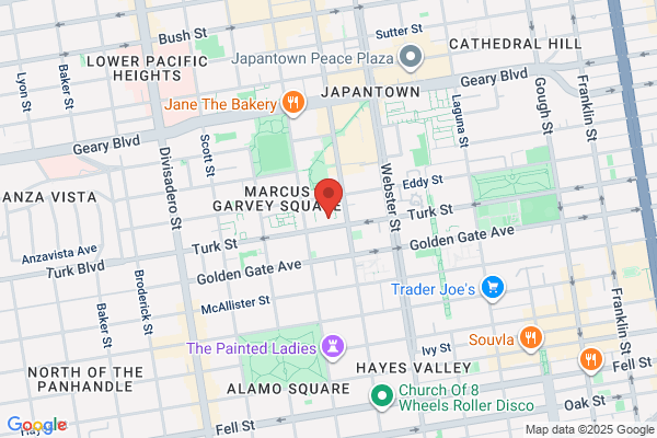Bay Area Mold Pros