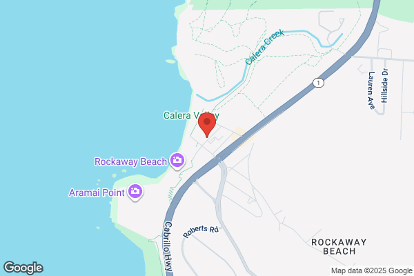 Rock'n Rob's Famous Pacifica Burgers