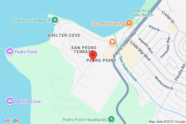 Coast 1 Tree Service