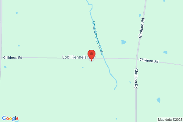 Lodi Kennels