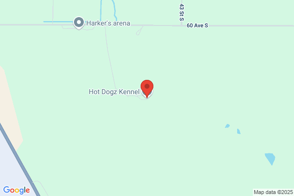Hot Dawgs Kennel