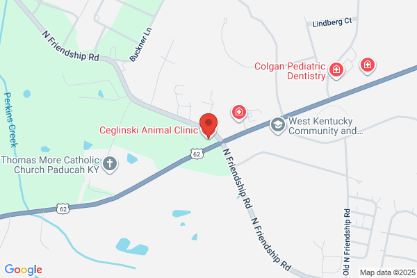 Ceglinski Animal Clinic
