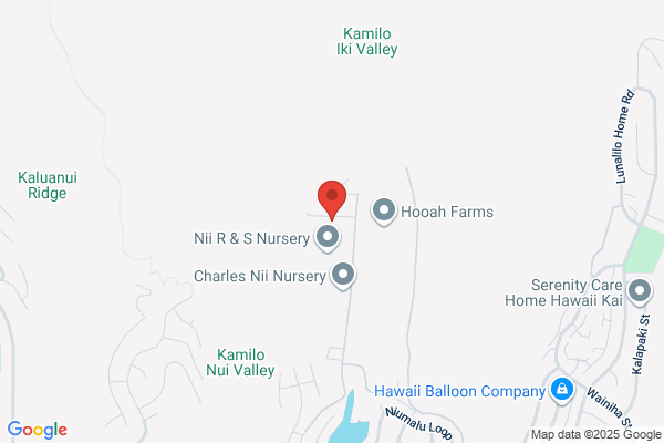 Kapoho Kai Tree Nursery