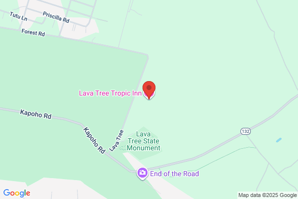 Lava Tree Tropic Inn