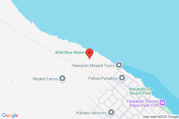 Pahoa Physical Therapy