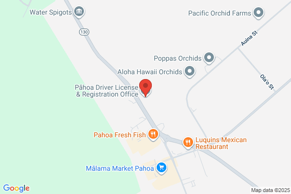 Pahoa Satellite Inc