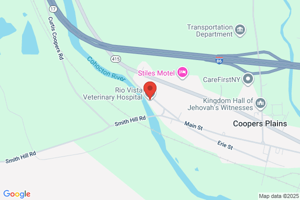 Rio Vista Veterinary Hospital & Kennels