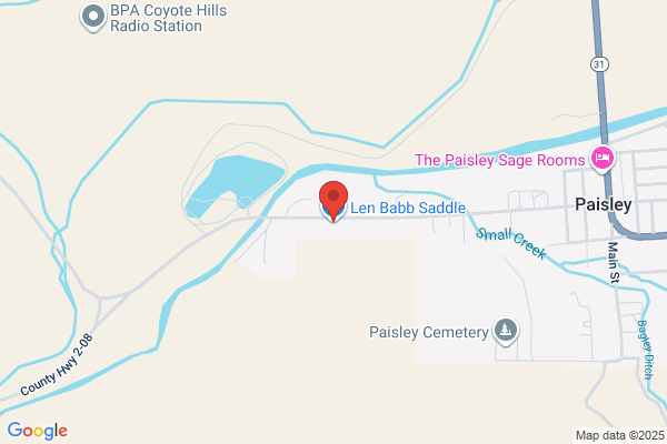 Babb Len Saddle Co