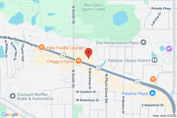 Palatine Wellness Group