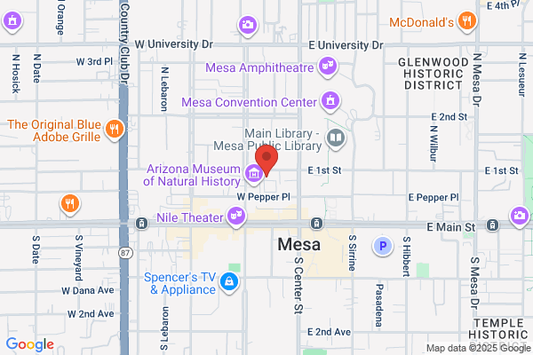 Metropolis Youth Symphony