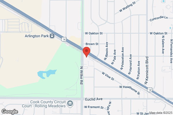 Arlington Cat Clinic