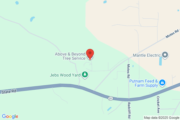 Above & Beyond Tree Service