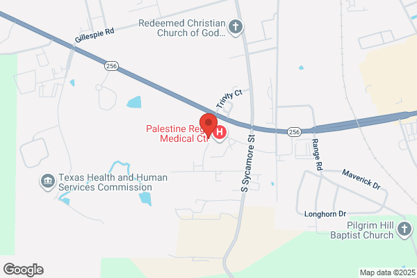 Palestine Regional Medical Center: Emergency Room