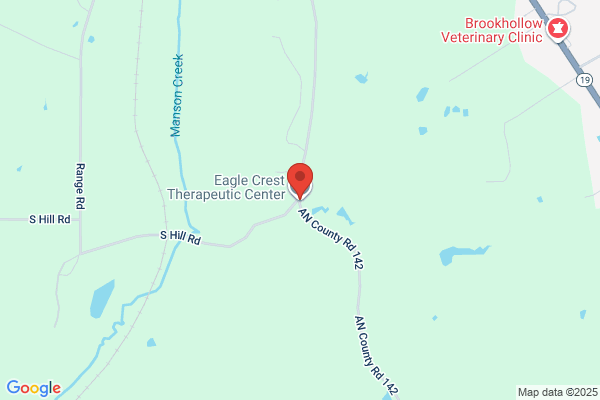 Eagle Crest Therapeutic Center Inc