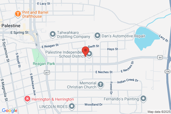 Palestine Independent School District, Special Education