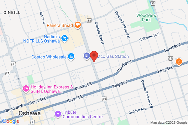 The Video Guy