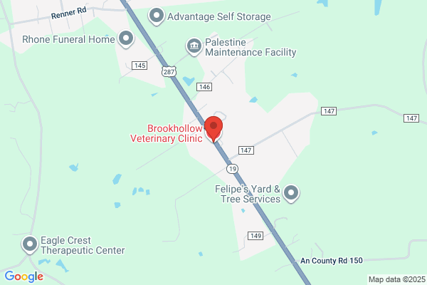 Brookhollow Veterinary Clinic