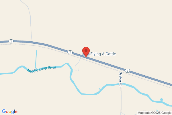 Flying E Cattle Co