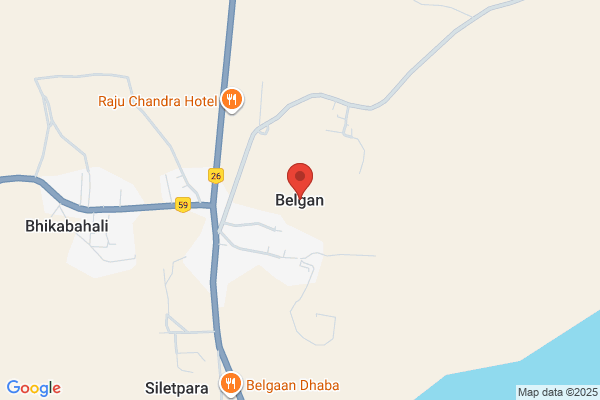 Belgan Inc