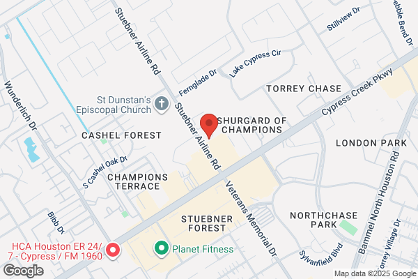 Champion Automotive