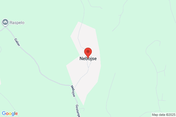 Nebojsic