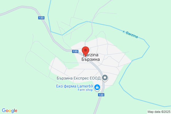 Barzina