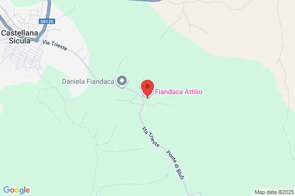 Fiandaca