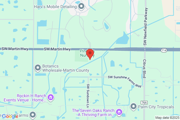 Palm City Sod