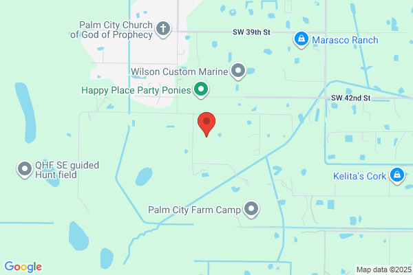 PALM CITY WELLNESS Clinic