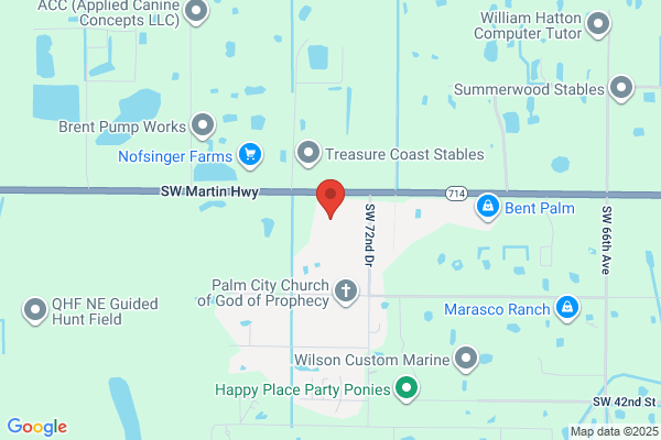 Palm City Palms & Tropical Inc