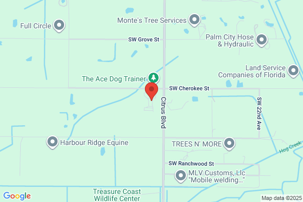 Strawberry Tree Farms