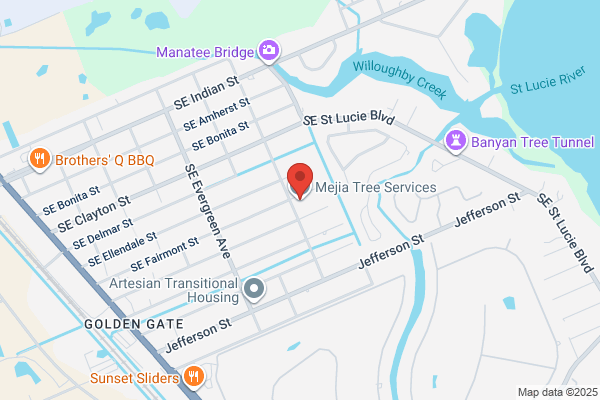 Mejia Tree Services