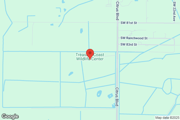 Treasure Coast Wildlife Hospital