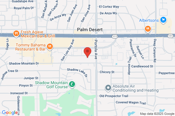 Anne A. Nicholas, DDS