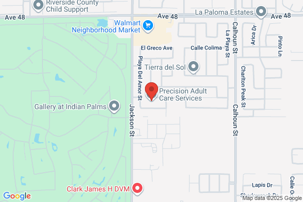Precision Adult Care Services