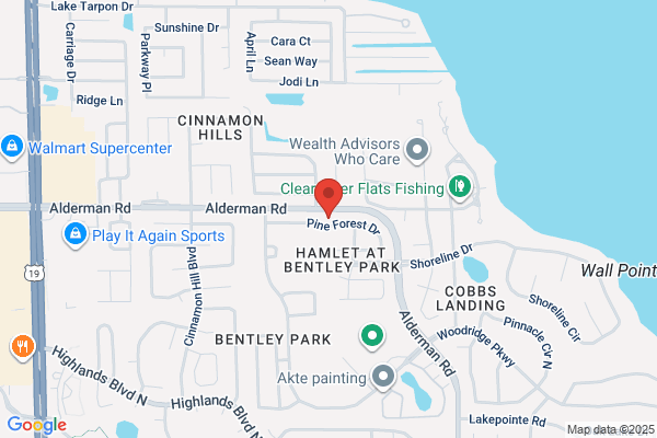 Interface Web Design & Development, LLC