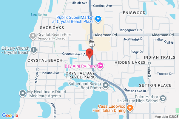 Cat Hospital At Palm Harbor