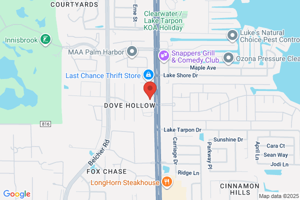 Byte Federal Bitcoin ATM (Exxon Palm Harbor)