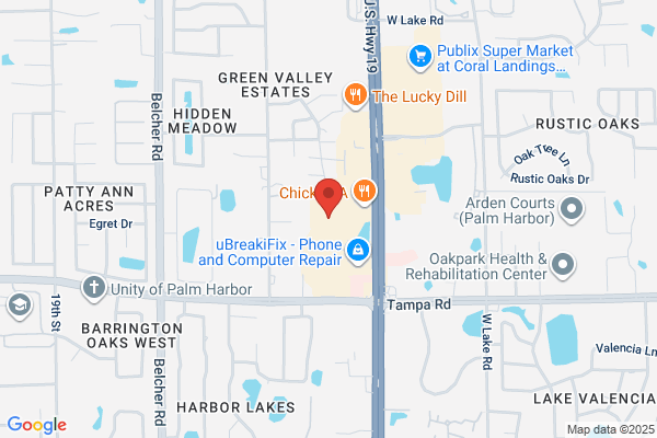 Lsi Real Estate Services