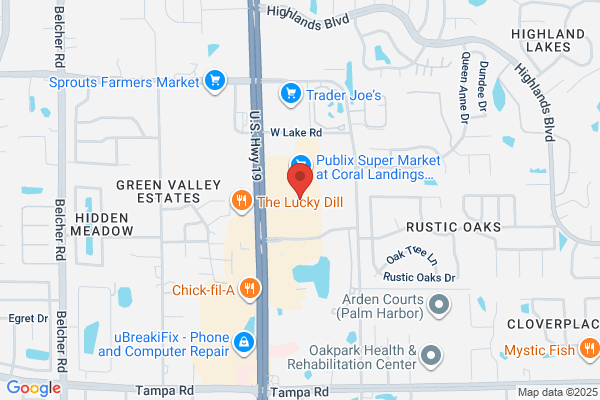 Bealls Outlet