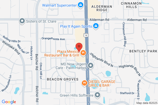 Ideal Image Palm Harbor