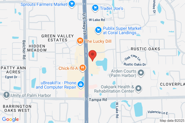 VIP Palm Harbor Dentist