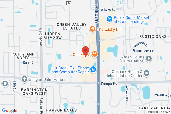 Palm Lake Dental Group