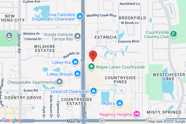 Countryside Palm Harbor Chiropractic