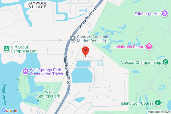 Palm Harbor Water
