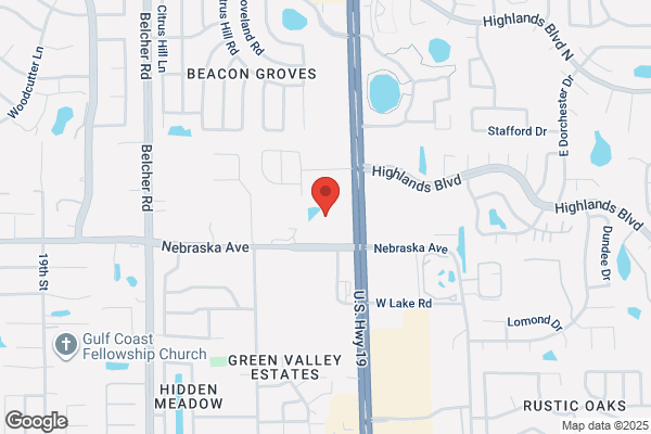Gastro Florida Palm Harbor