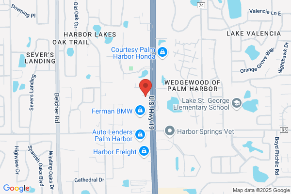 Equity Leadership Group of Palm Harbor