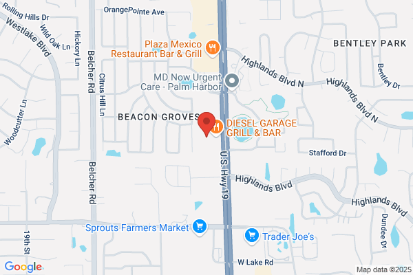 Victory Martial Arts - Palm Harbor