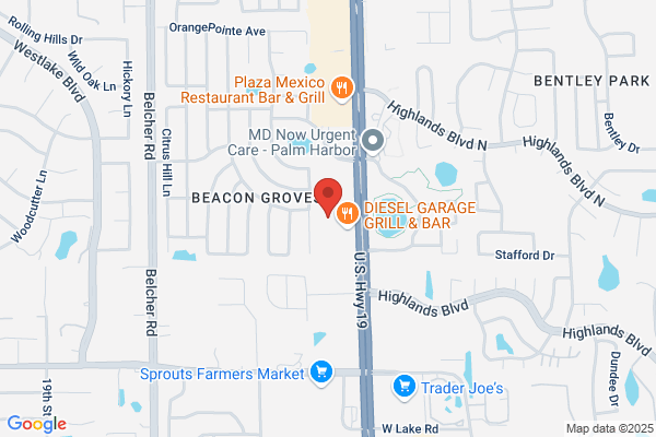 Dr Sheila Dean-Palm Harbor Center for Health & Healing